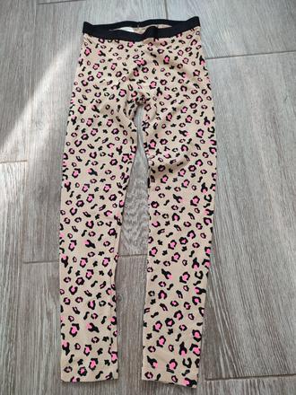 Leginy, pepperts,134