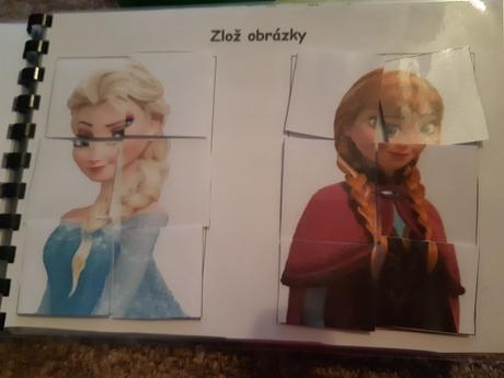 Zosit s aktivitami frozen (activity book),