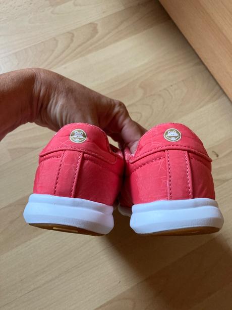 Tesnosky coqui, coqui,36