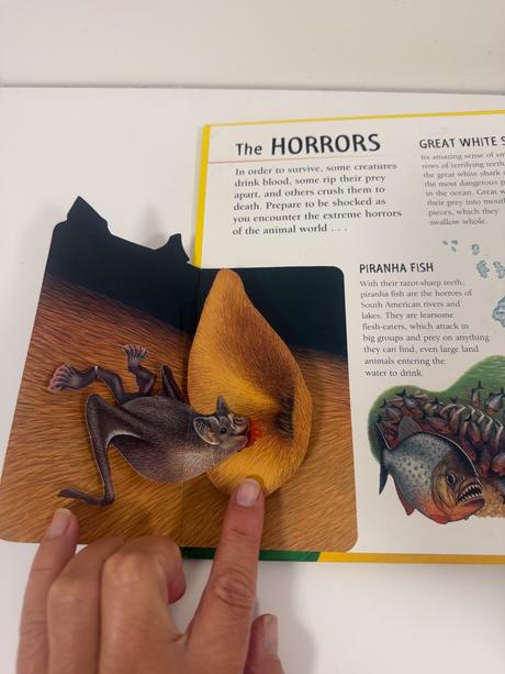 Pop up 3d kniha exreme animals,