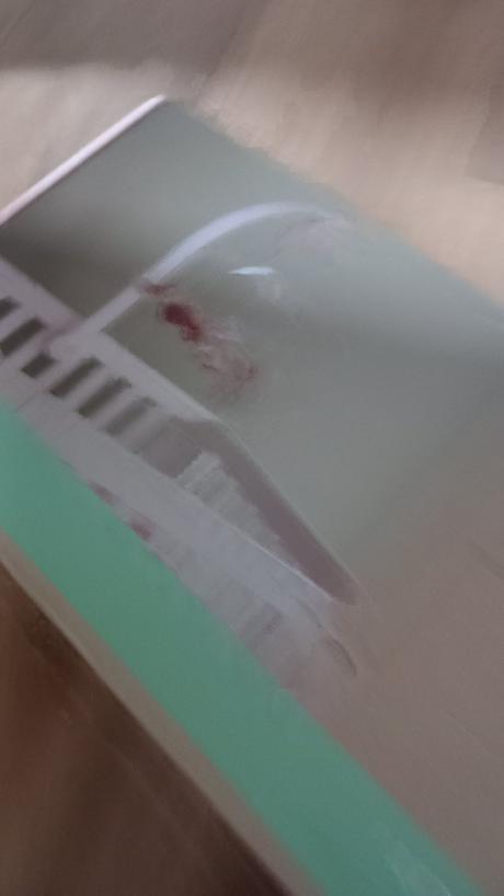 Little dufch kolotoc nad postielku, 