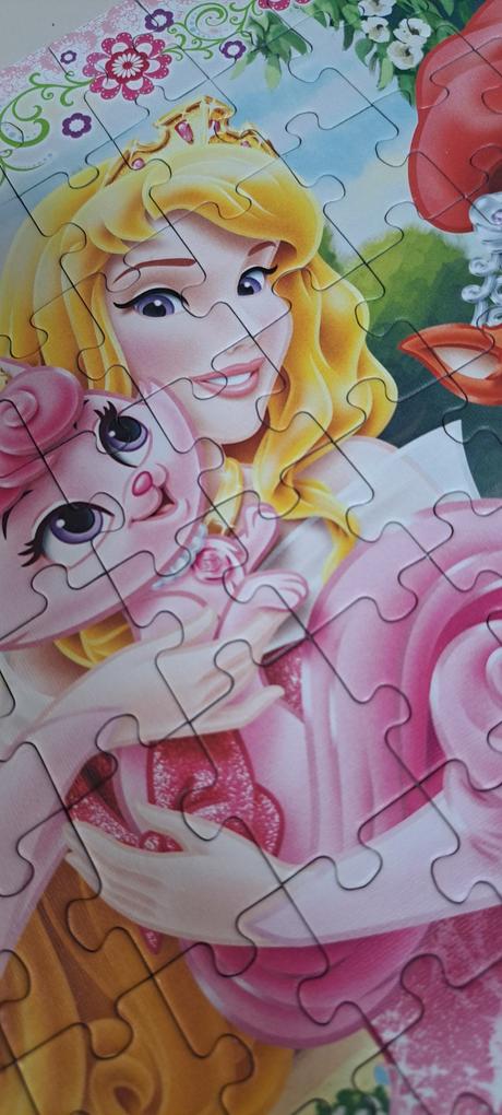 Puzzle princezné, 
