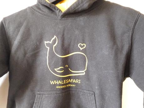 Chlapčenska mikina, 128