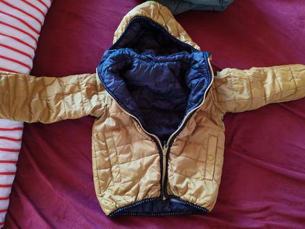 Prechodná vetrovka 104-110, coccodrillo,104