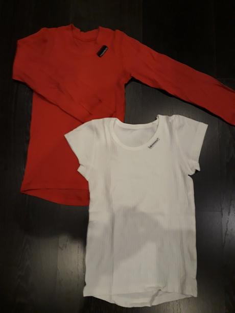 Termopadlo progress, 110