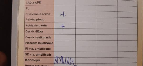 Čo znamená + pri pohlaví plodu v tehotenskej knižke?