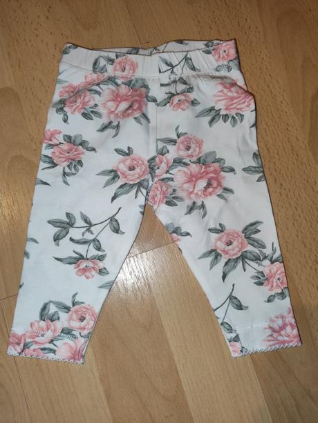 Predám legíny newbie, newbie,62