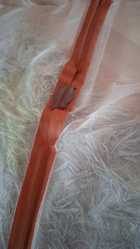 Sieťka proti hmyzu s magnetami, 