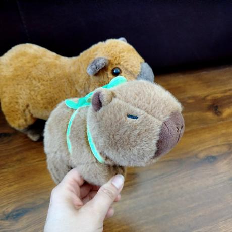 Capybara 2ks,