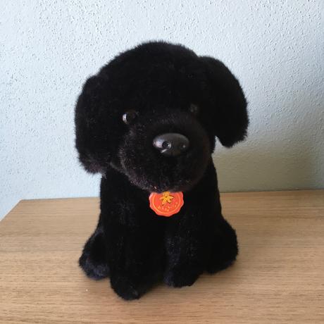 Pekny psík nepoužívaný, 