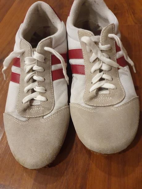 Halovky veľ. 37, 37