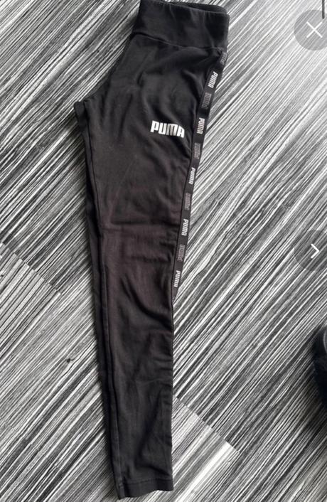 Puma legíny, puma,s