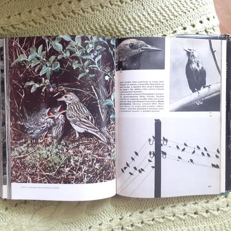 Veĺký obrazový atlas vtákov, 