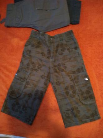 Kratase, dognose,140