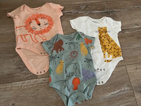 Safari body f&f, f&f,62