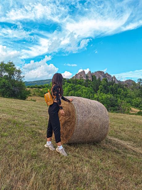 Crop top, new yorker,s