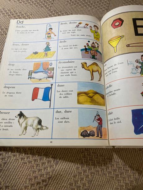 Krásny starý retro slovník učebnica francúzštiny, 