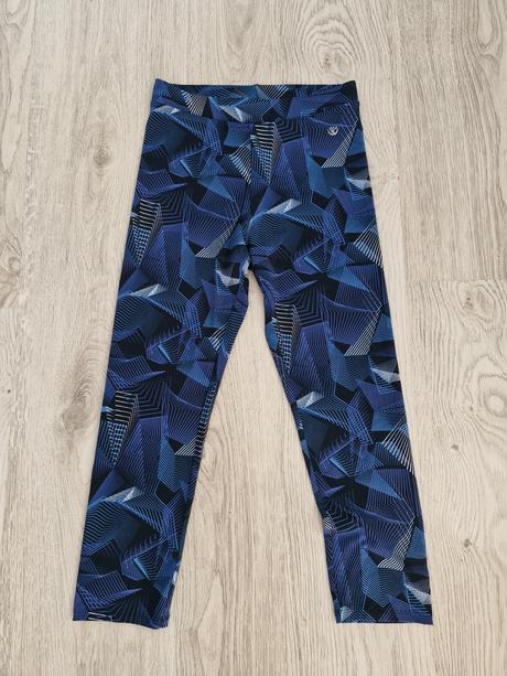 Leginy, st. bernard,s