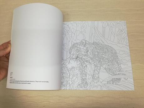 Dk animals of the world colouring book nau19, 