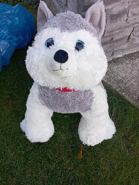 Veľký plyšový psík, 