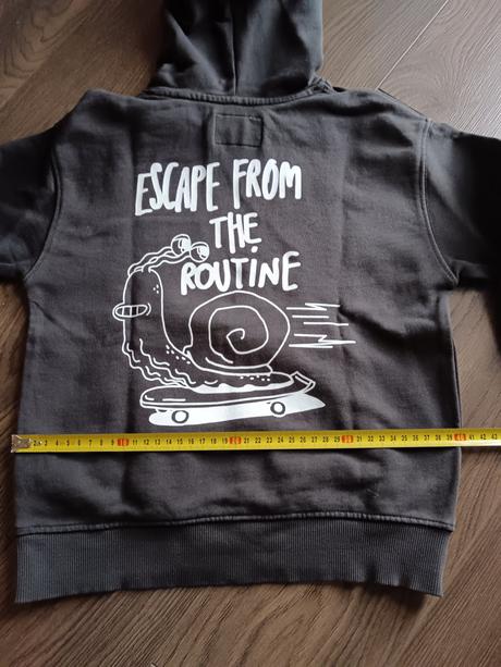 Mikina s nápisom, zara,122