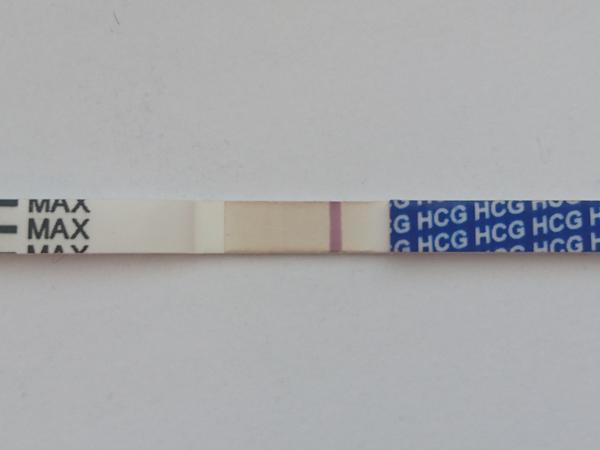 Čo si myslíte o tomto teste?