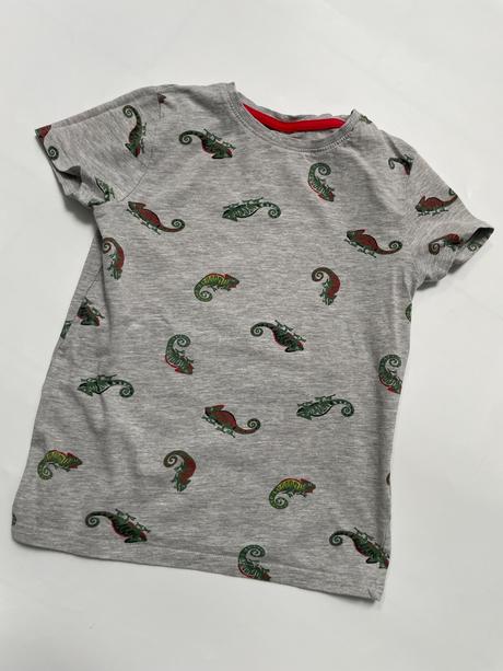 Tričko s chameleónmi, 134