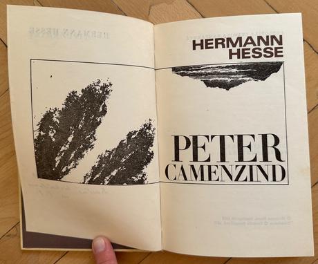 Kniha hermann hesse peter camenzind za 3eur,