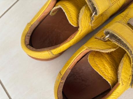 Topánky frodo, froddo,31