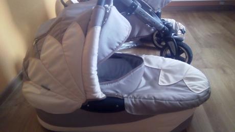 Kočik, tako,tako captiva mohican