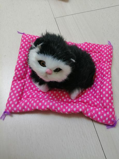 Mačičky na peliešikoch 2 ks, 