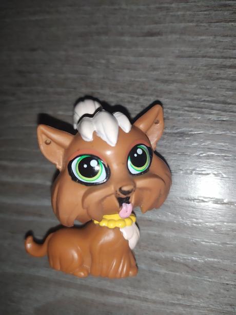 Lps littlest pet shop jorksir,