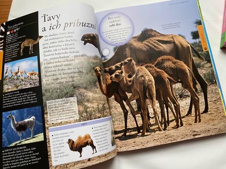 Zvieratá - encyklopédia, hra, knihy, 