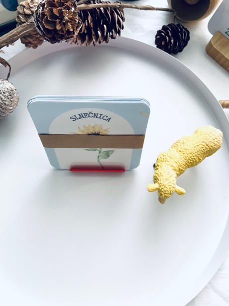 Kvety - slovenské komunikačné kartičky,