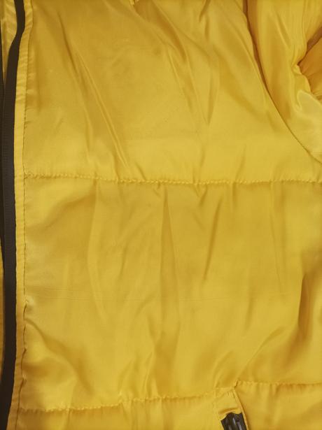 Žltá bunda, reserved,152