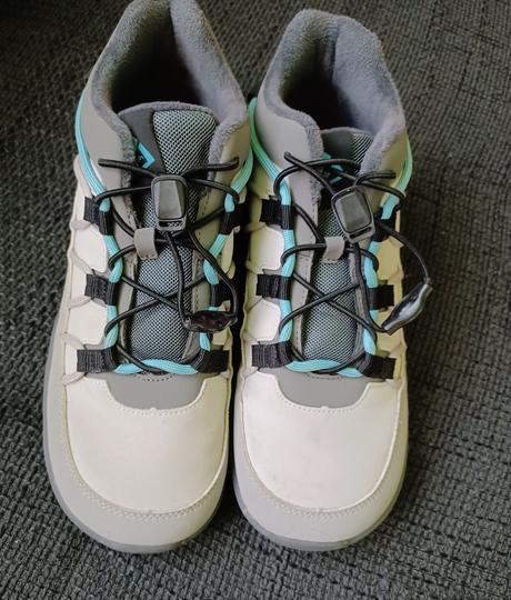 Topanky little blue lamb, little blue lamb,36