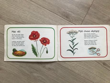 Prírodopis pre 5. roč., vyd. 1997 + bonus, 