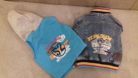 Rifĺovka, palomino,110