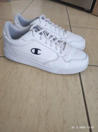 Ako nové, champion,44