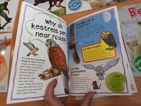 Questions and answers a5 na kusy, 