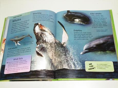 My first animal encyclopedia, 