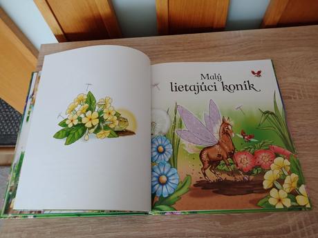 Kniha príbehy o zázračných konoch, 