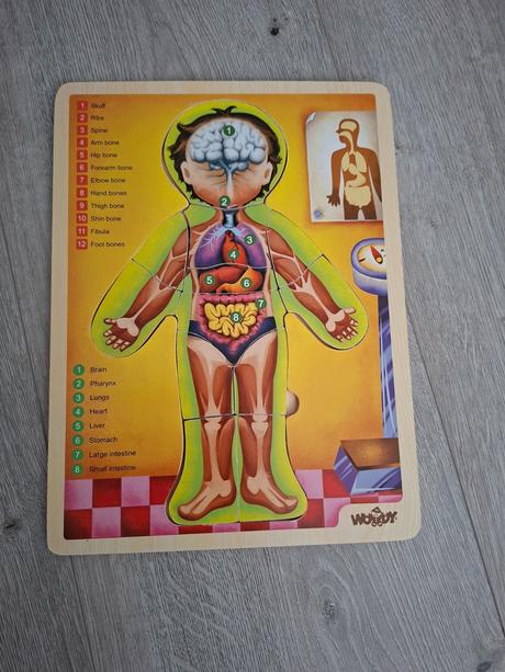 Woody puzzle, ľudské telo,