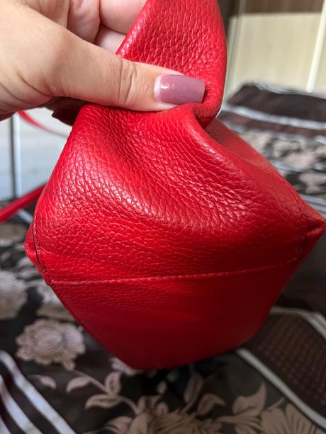 Coccinelle, coccinelle