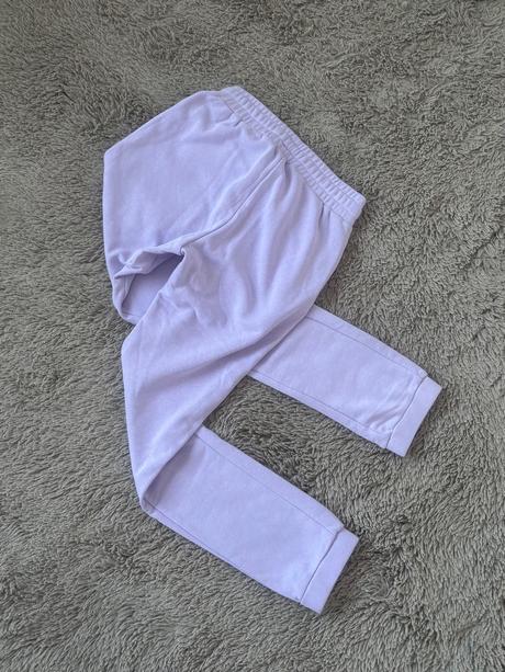 Authority teplaky, authority,s