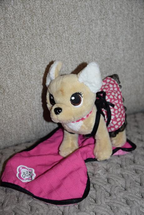 Psík chichi s dečkou,