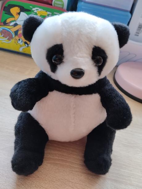 Panda,