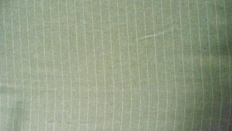 Strihana latka pasik, 