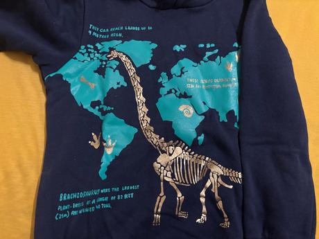 Mikina pre chlapca, h&m,122