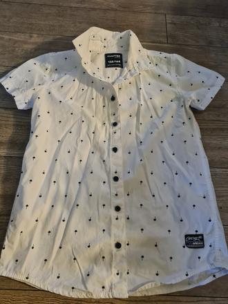 Kosela, chapter young,158